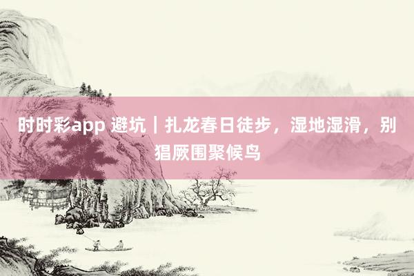时时彩app 避坑｜扎龙春日徒步，湿地湿滑，别猖厥围聚候鸟