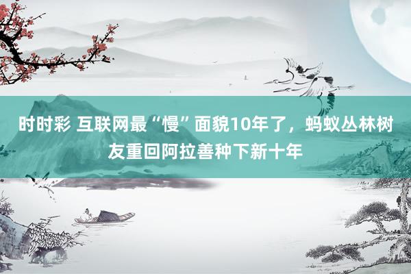 时时彩 互联网最“慢”面貌10年了，蚂蚁丛林树友重回阿拉善种下新十年