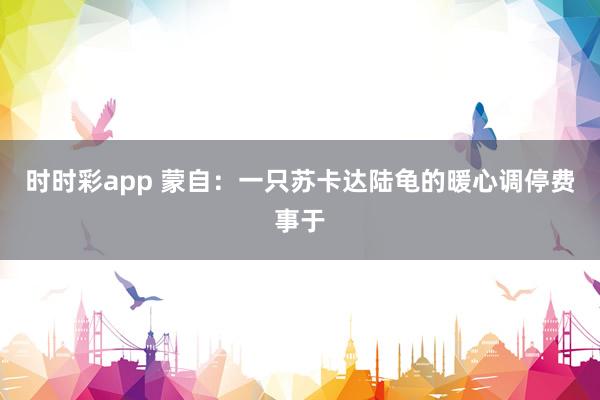 时时彩app 蒙自：一只苏卡达陆龟的暖心调停费事于