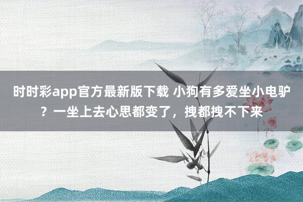 时时彩app官方最新版下载 小狗有多爱坐小电驴？一坐上去心思都变了，拽都拽不下来
