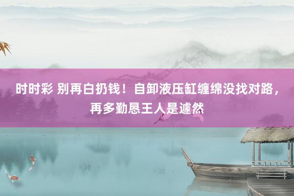 时时彩 别再白扔钱！自卸液压缸缠绵没找对路，再多勤恳王人是遽然