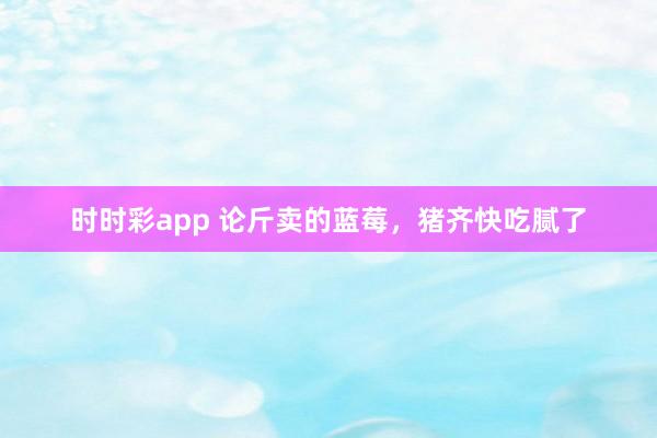 时时彩app 论斤卖的蓝莓，猪齐快吃腻了