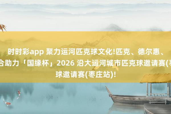 时时彩app 聚力运河匹克球文化!匹克、德尔惠、嗨克纠合助力「国缘杯」2026 沿大运河城市匹克球邀请赛(枣庄站)!