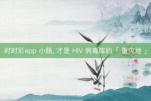 时时彩app 小肠， 才是 HIV 病毒库的「 重灾地 」